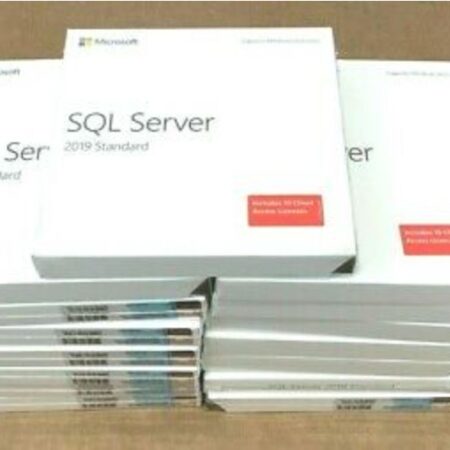 SQL Server 2019 Standard DVD Box Pack License