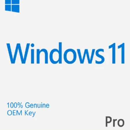 Windows 11 Pro License – OEM Key